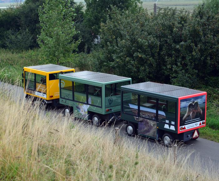 Zonnetrein Groot Saeftinghe